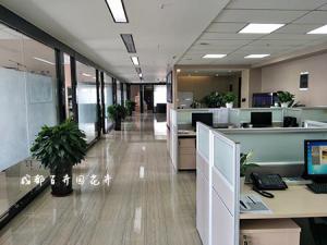 办公室绿植租赁价格对比及注意事项