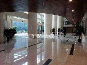 成都租赁花卉绿植收费标准与计算方法