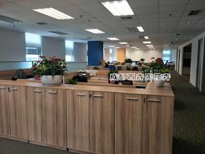 成都植物租摆设计室内植物租摆方案及摆放风格