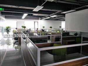 成都植物租赁中的发财树摆放在办公室的注意事项