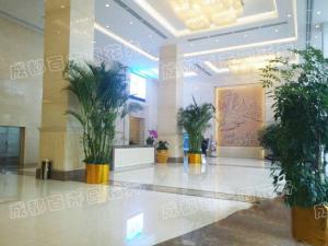 成都酒店绿植租摆设计方案与注意事项