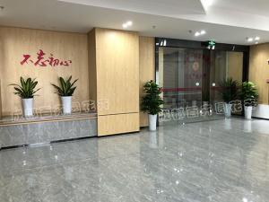 办公室植物究竟是购买好还是租赁好？