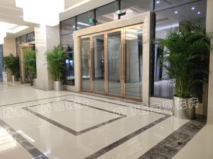 成都植物租赁养护服务标椎是怎么的？