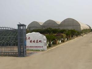 。我们用专业与匠心，让绿色融入您的工作与生