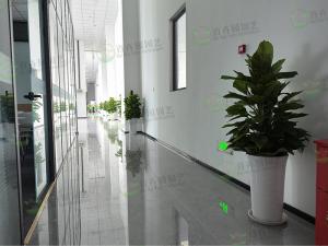 植物租摆进入冬季的保暖方法及注意事项