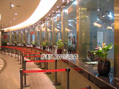 银行花卉租摆案例