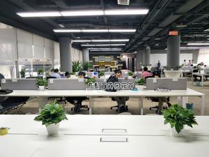 成都公司办公室办公区植物租摆案例及设计方案