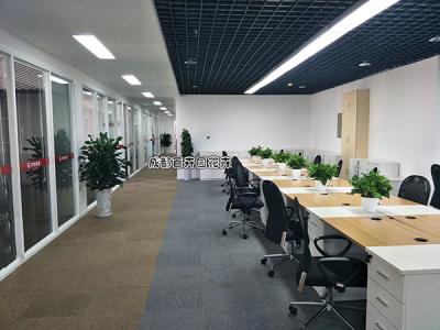 成都某公司办公室植物租赁方案及摆放案例