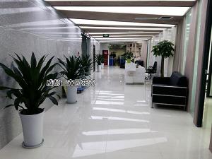 某公司成都办公室花卉租赁案例及设计摆放方案