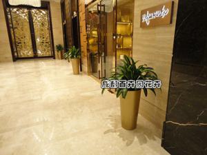 某星级酒店植物租摆案例