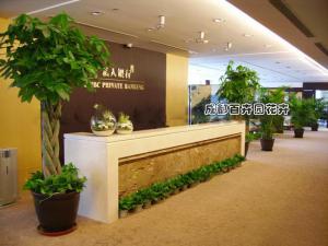 银行办公室花卉租赁租摆案例