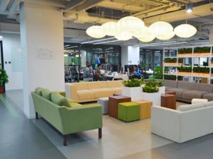 某公司办公室花卉租赁案例及方案