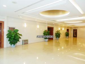 公司办公室植物租赁案例 