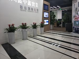 某教育公司成都办公室绿植租摆方案及摆放案例