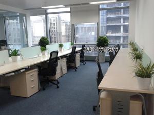 四川某能源公司成都办公室植物租摆案例