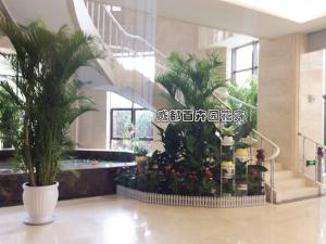 某房产公司成都办公室植物租赁案例