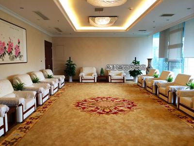 会议办公室绿植租摆案例及设计方案