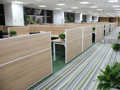 某公司办公区盆栽植物租赁案例设计方案