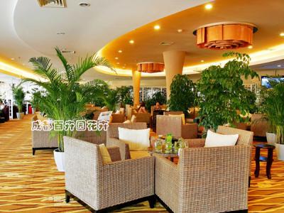 酒店植物租摆案例