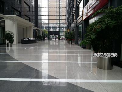 某写字楼植物租摆案例及设计方案