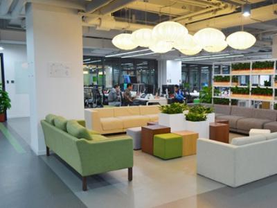 某公司办公室花卉租赁案例及方案