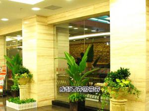 某房产公司成都售楼部绿植租摆案例及布置方案