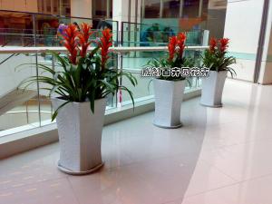 某成都商场花方案卉租赁案例及设计摆放