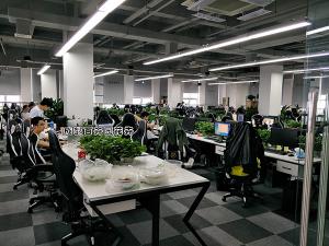 网游科技公司成都办公室植物租赁案例及设计摆放方案