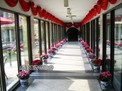 酒店花卉租赁案例及设计摆放方案