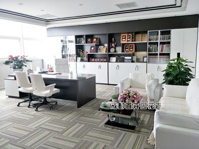 老总办公室花卉绿植租摆案例