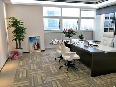 公司领导办公室花卉租摆案例