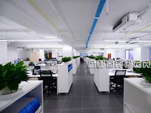 办公室植物摆放案例