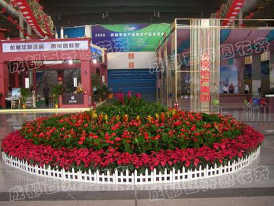  成都花卉绿植租赁组团造型