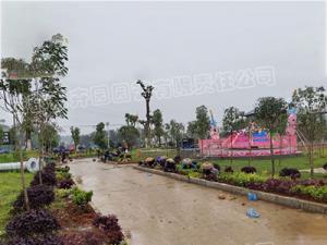 成都某游乐场绿化苗木栽种施工案例