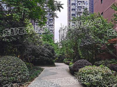 成都紫东芯座小区绿化养护管理案例
