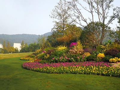 花镜景观设计植物配置种植