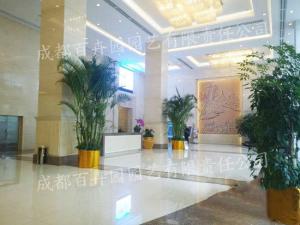 酒店成都花卉绿植租摆案例