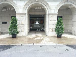  阳光保险集团成都办公室绿植租摆案例效果图