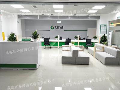 人寿保险集团成都办公室植物租赁案例效果图