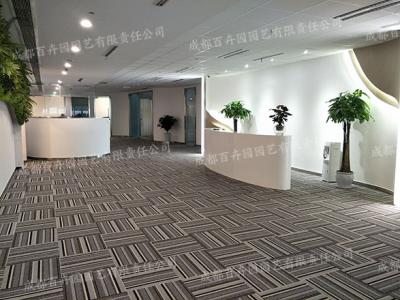 某公司成都办公室绿植租摆案例 