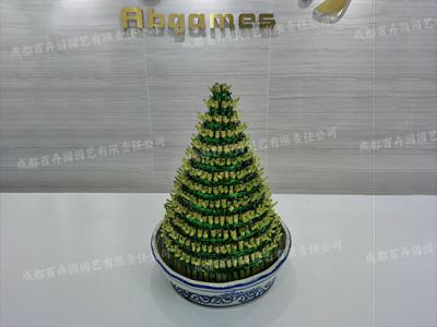 水培植物租赁(富贵塔) 