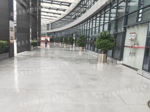 政务中心大楼成都植物租赁案例效果图