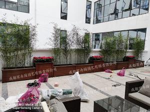 花箱植物配置方案及种植案例