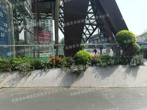 成都某广场花境植物配置方案设计案例