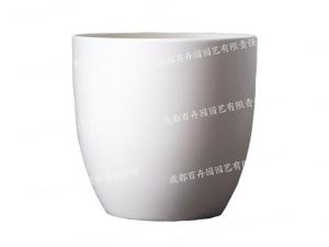  成都室内植物租赁专用花盆