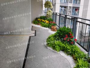 成都写字楼花卉植物租赁造型组景