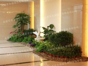 成都花卉植物租赁组景造型