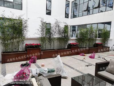 花箱植物配置方案及种植案例