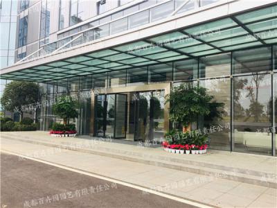 成都甲级写字楼花卉绿植租摆组团造景