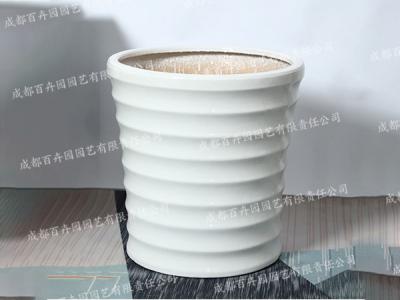  成都办公室植物租赁专用螺纹花盆